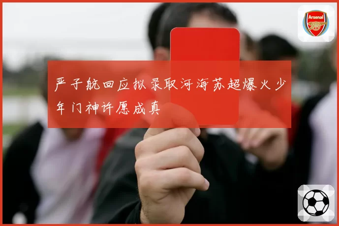 严子航回应拟录取河海苏超爆火少年门神许愿成真
