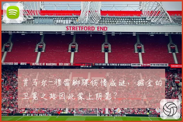 贾马尔-穆雷脚踝伤情成谜,掘金的卫冕之路因此蒙上阴影?